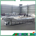 China Vegetable Washing and Blanching Machine